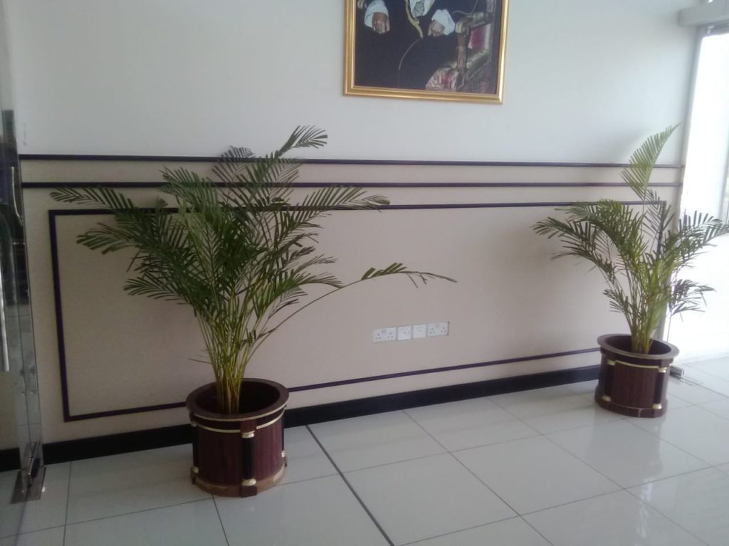 WhatsApp Image 2021-11-11 at 13.14.05 (3)